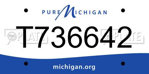 T736642 Michigan License Plate