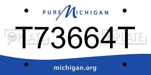 T73664T Michigan License Plate
