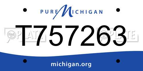 T757263 Michigan License Plate