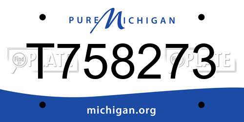 T758273 Michigan License Plate