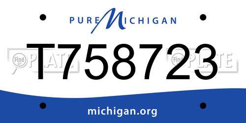 T758723 Michigan License Plate