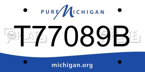 T77089B Michigan License Plate