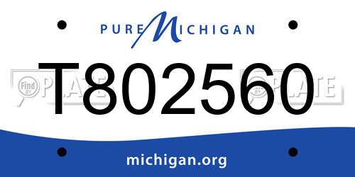 T802560 Michigan License Plate