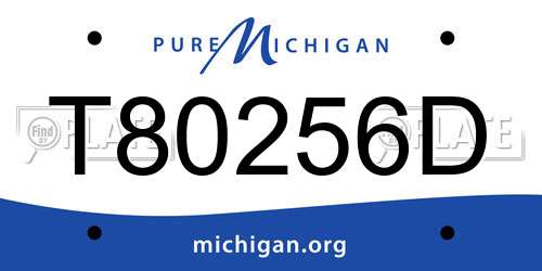 T80256D Michigan License Plate