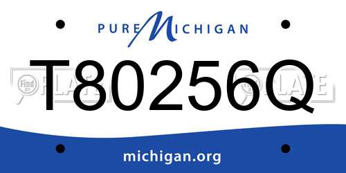 T80256Q Michigan License Plate