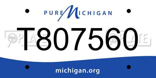 T807560 Michigan License Plate