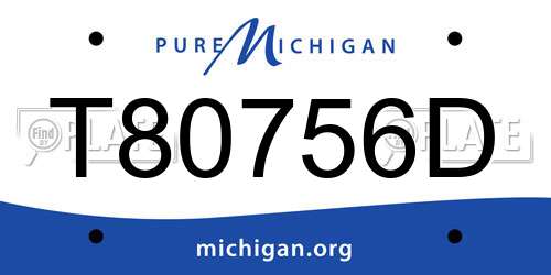 T80756D Michigan License Plate