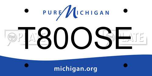 T80OSE Michigan License Plate
