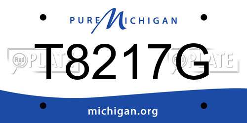T8217G Michigan License Plate