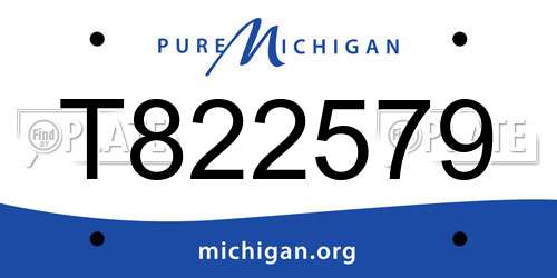T822579 Michigan License Plate