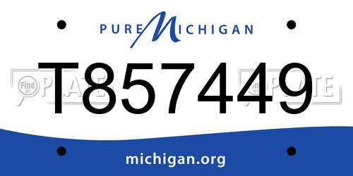 T857449 Michigan License Plate