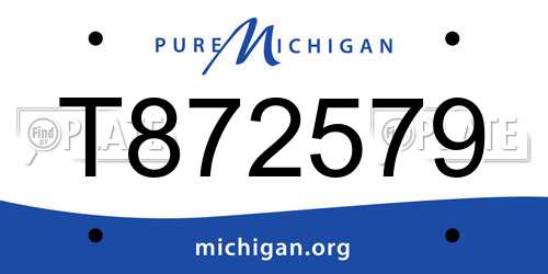 T872579 Michigan License Plate