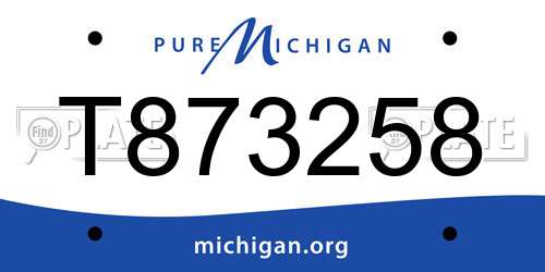 T873258 Michigan License Plate