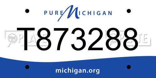 T873288 Michigan License Plate