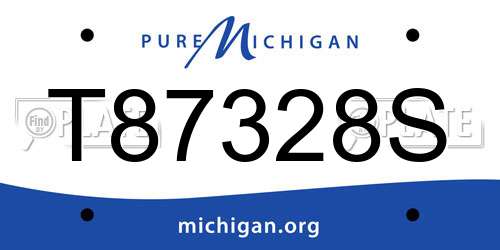 T87328S Michigan License Plate