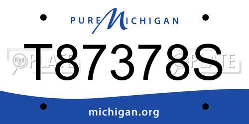 T87378S Michigan License Plate