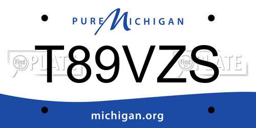 T89VZS Michigan License Plate