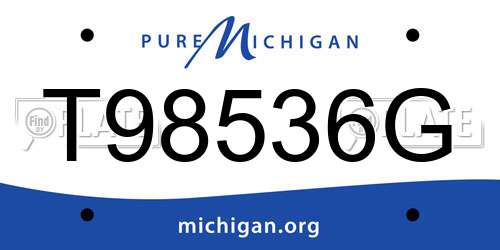 T98536G Michigan License Plate