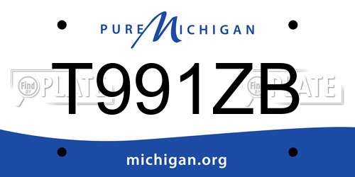 T991ZB Michigan License Plate