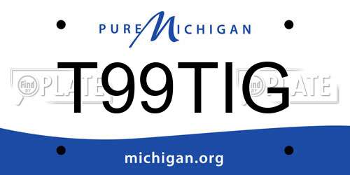T99TIG Michigan License Plate