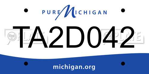 TA2D042 Michigan License Plate