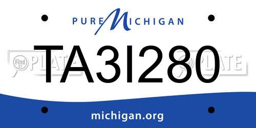 TA3I280 Michigan License Plate