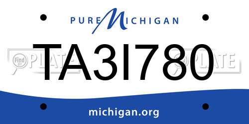 TA3I780 Michigan License Plate