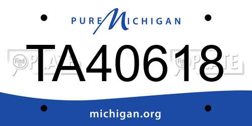 TA40618 Michigan License Plate