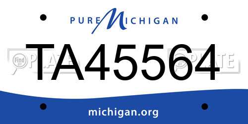 TA45564 Michigan License Plate
