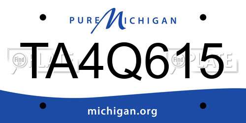 TA4Q615 Michigan License Plate