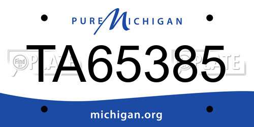 TA65385 Michigan License Plate