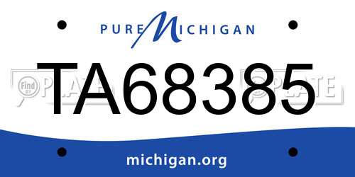 TA68385 Michigan License Plate