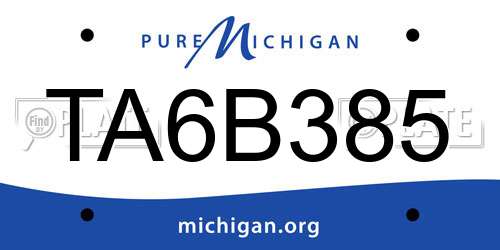 TA6B385 Michigan License Plate