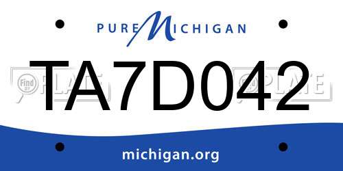 TA7D042 Michigan License Plate