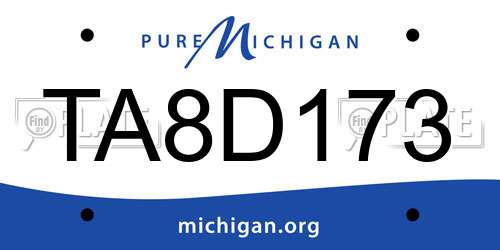 TA8D173 Michigan License Plate