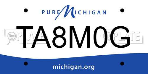 TA8M0G Michigan License Plate