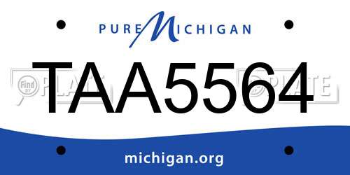 TAA5564 Michigan License Plate