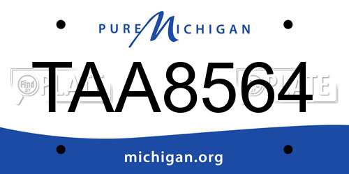 TAA8564 Michigan License Plate