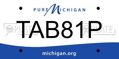TAB81P Michigan License Plate