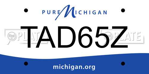 TAD65Z Michigan License Plate