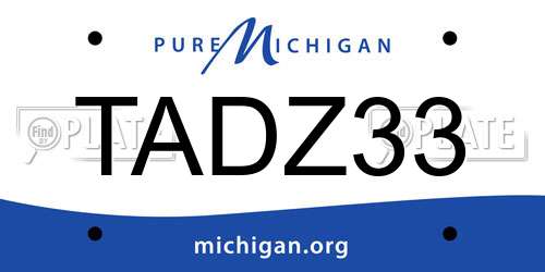 TADZ33 Michigan License Plate