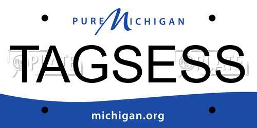 TAGSESS Michigan License Plate