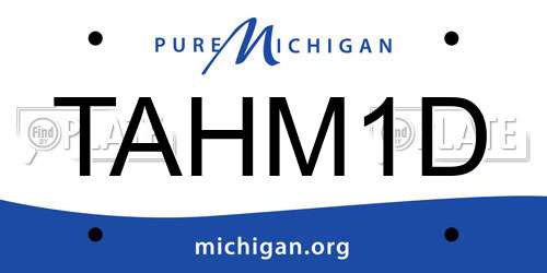 TAHM1D Michigan License Plate