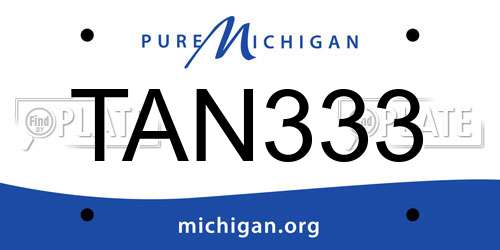 TAN333 Michigan License Plate