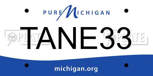 TANE33 Michigan License Plate