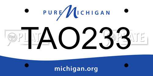 TAO233 Michigan License Plate