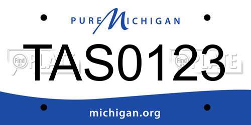 TAS0123 Michigan License Plate