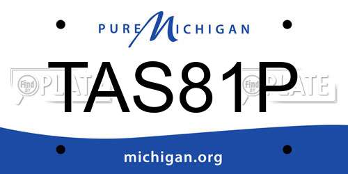 TAS81P Michigan License Plate