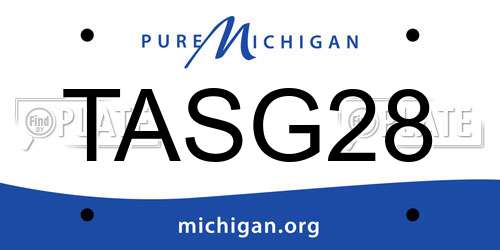 TASG28 Michigan License Plate