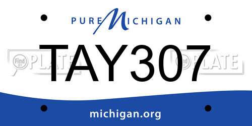 TAY307 Michigan License Plate